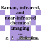 Raman, infrared, and near-infrared chemical imaging / [E-Book]