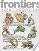 Adaptive Function and Brain Evolution [E-Book] /