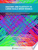 Anatomy and Plasticity in Large-Scale Brain Models [E-Book] /