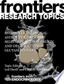 Astrocytic-neuronal-astrocytic Pathway Selection for Formation and Degradation of Glutamate/GABA [E-Book] /