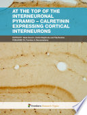At The Top of the Interneuronal Pyramid - Calretinin Expressing Cortical Interneurons [E-Book] /