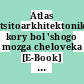 Atlas tsitoarkhitektoniki kory bol 'shogo mozga cheloveka [E-Book] : Bildband.