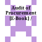 Audit of Procurement [E-Book] /