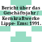 Bericht über das Geschäftsjahr / Kernkraftwerke Lippe- Ems: 1991.