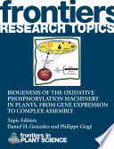 Biogenesis of the oxidative phosphorylation machinery in plants. From gene expression to complex assembly [E-Book] /