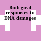 Biological responses to DNA damages
