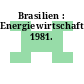 Brasilien : Energiewirtschaft. 1981.