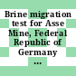 Brine migration test for Asse Mine, Federal Republic of Germany  : final design report : technical report [E-Book]