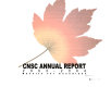 CNSC annual report. 2004 /