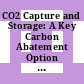 CO2 Capture and Storage: A Key Carbon Abatement Option [E-Book] /