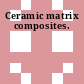 Ceramic matrix composites.