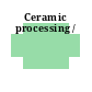 Ceramic processing /