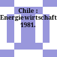 Chile : Energiewirtschaft. 1981.
