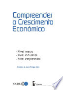 Compreender o Crescimento Económico [E-Book]: Nível macro, nível industrial, nível empresarial /