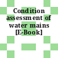 Condition assessment of water mains [E-Book]
