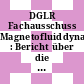 DGLR Fachausschuss Magnetofluiddynamik : Bericht über die Sitzung : Stuttgart, 20.02.74-21.02.74