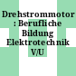 Drehstrommotor : Berufliche Bildung Elektrotechnik V/U 38240.