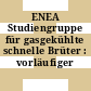 ENEA Studiengruppe für gasgekühlte schnelle Brüter : vorläufiger Bericht.
