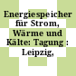 Energiespeicher für Strom, Wärme und Kälte: Tagung : Leipzig, 06.12.94-07.12.94