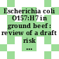 Escherichia coli O157:H7 in ground beef : review of a draft risk assessment [E-Book] /