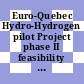 Euro-Quebec Hydro-Hydrogen pilot Project phase II feasibility study. 4. Management and organization of phases III and IV ( european approach) : final report.