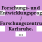 Forschungs- und Entwicklungsprogramm / Forschungszentrum Karlsruhe. 1996 : Stand: 14.12.1995.