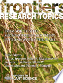 From soil to seed: micronutrient movement into and within the plant [E-Book] /