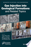 Gas injection into geological formations and related topics [E-Book] /