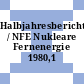 Halbjahresbericht / NFE Nukleare Fernenergie 1980,1 /