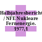Halbjahresbericht / NFE Nukleare Fernenergie. 1977,1 /