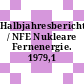 Halbjahresbericht / NFE Nukleare Fernenergie. 1979,1 /