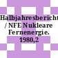 Halbjahresbericht / NFE Nukleare Fernenergie. 1980,2 /