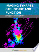 Imaging Synapse Structure and Function [E-Book] /