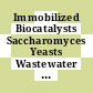Immobilized Biocatalysts Saccharomyces Yeasts Wastewater Treament [E-Book].