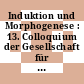 Induktion und Morphogenese : 13. Colloquium der Gesellschaft für Physiologische Chemie am 3./5. Mai 1962 in Mosbach / Baden.