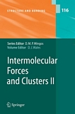 Intermolecular forces and clusters. 2 [E-Book]