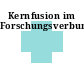 Kernfusion im Forschungsverbund.