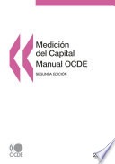 Medición del capital - Manual OCDE 2009 [E-Book]: Segunda edición /