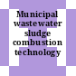 Municipal wastewater sludge combustion technology /