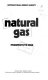 Natural gas : prospects to 2000.