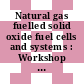 Natural gas fuelled solid oxide fuel cells and systems : Workshop on mathematical modelling: proceedings : Charmey, 02.07.89-06.07.89.