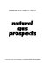Natural gas prospects /