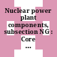 Nuclear power plant components, subsection NG : Core support structures.