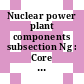 Nuclear power plant components subsection Ng : Core support structures.