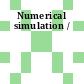Numerical simulation /