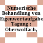 Numerische Behandlung von Eigenwertaufgaben: Tagung : Oberwolfach, 19.11.72-24.11.72.