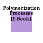 Polymerization Processes [E-Book].