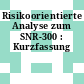 Risikoorientierte Analyse zum SNR-300 : Kurzfassung
