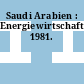 Saudi Arabien : Energiewirtschaft. 1981.