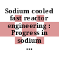 Sodium cooled fast reactor engineering : Progress in sodium cooled fast reactor engineering : symposium : Monaco, 23.03.70-27.03.70